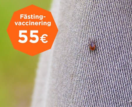 Kom ihåg fästingvaccinet!